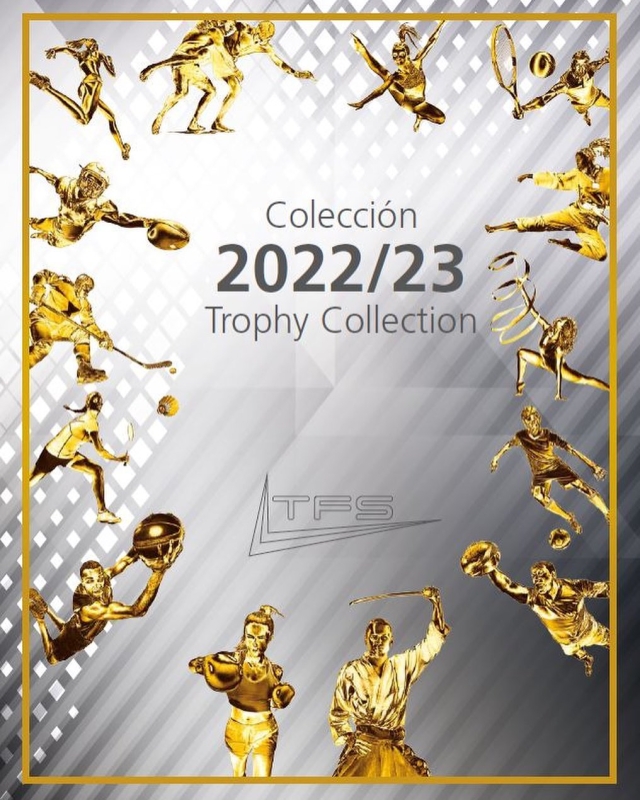 Trofeos de todo tipo para todo momento - Presupuestos sin compromiso- 639374046 